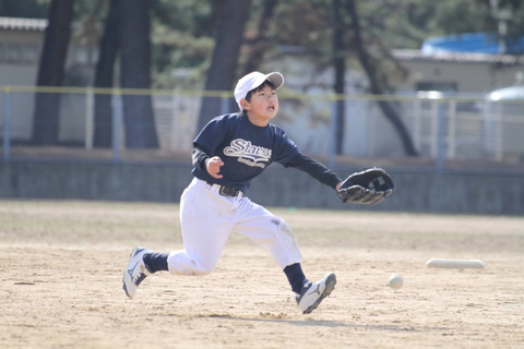 野球だけじゃないお楽しみ。