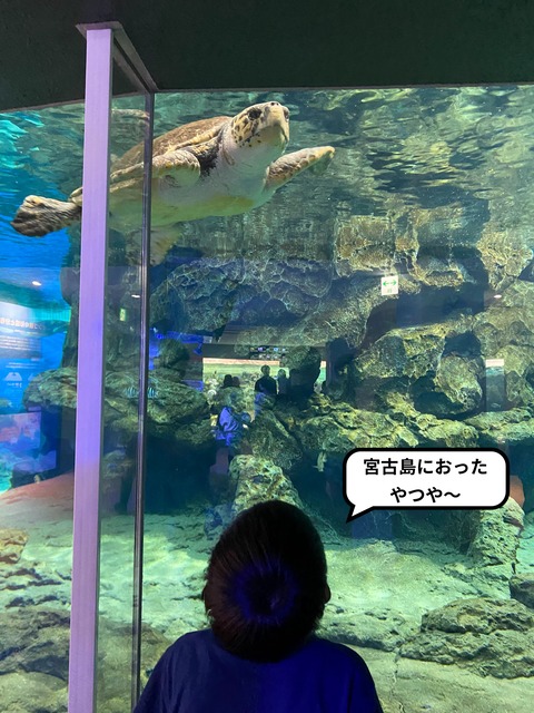 IMG_3664-fotor-20231129132643