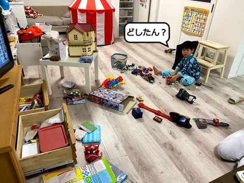 進化する遊び方と･･･　散らかし方･･･