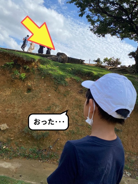 IMG_3115-fotor-2023110120210