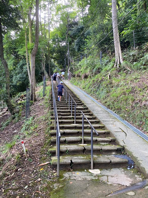 IMG_3111-fotor-20231101202133