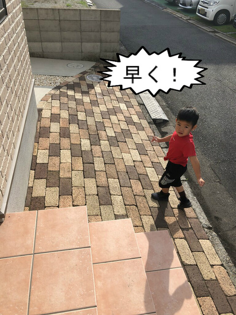 ついに実った！　はっちゃんのきゅうり！