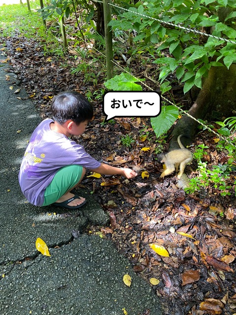 IMG_7142-fotor-2024081320420