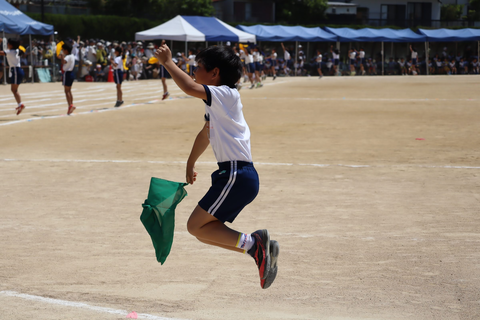 IMG_3661-fotor-2025060120548