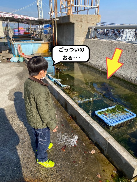 IMG_4196-fotor-20231228155132