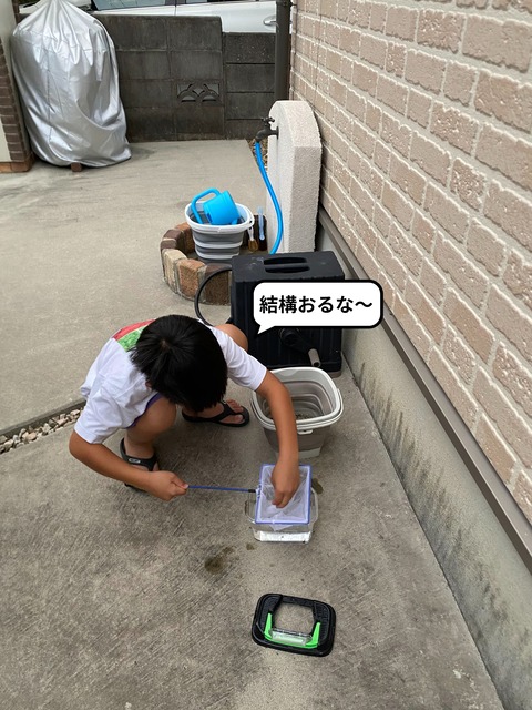 IMG_6503-fotor-2024061616225