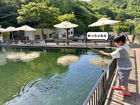 IMG_1202-fotor-20250601191542