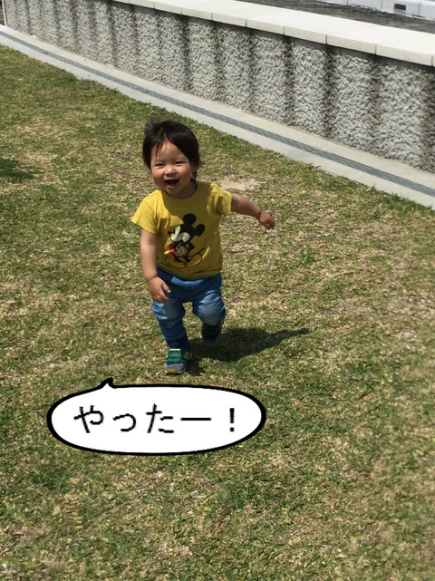 ちょっと大きい公園行ったら、楽しい遊具がいっぱい!!