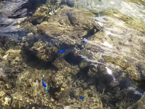 GH010470 - frame at 0m47s-fotor-2024080521172