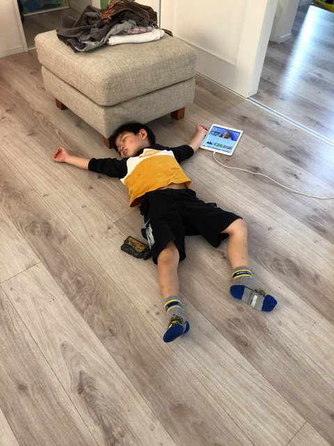 楽しい一日の幸せな結末。