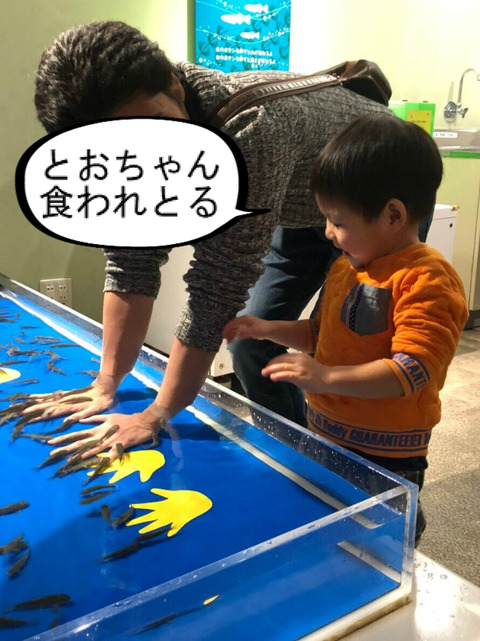 地味やと思ったら、意外と楽しかった水族館！　②