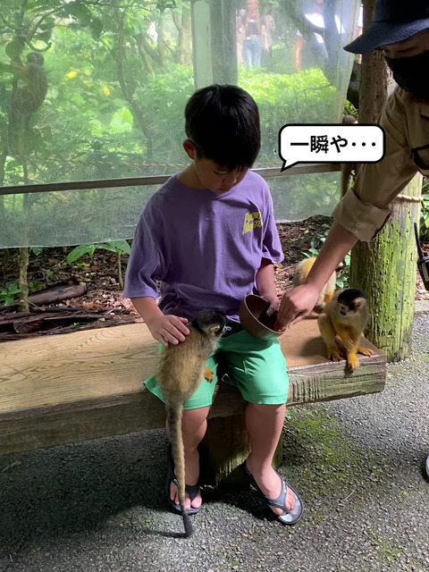 IMG_7152 - frame at 0m56s-fotor-20240813203749