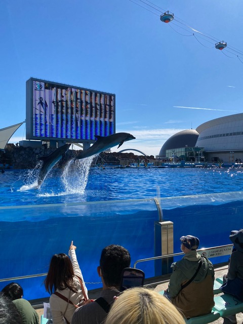 IMG_3656-fotor-20231129132955