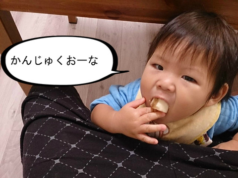 クリスマスプレゼントでジャングルジムゲット！