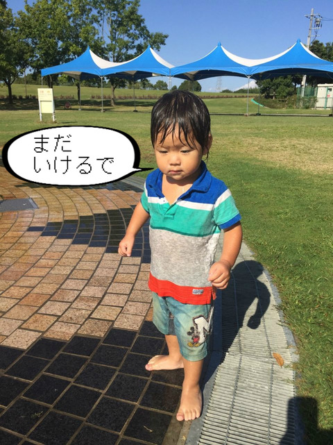 夏の終わりを感じると、寂しい気分になってくるな～