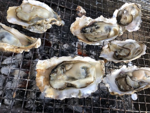 寒い季節のお楽しみ。　①