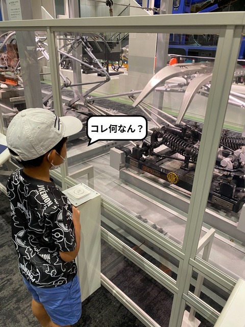 IMG_3260-fotor-20231105151848