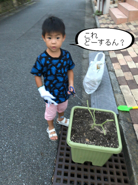 BlogPaint