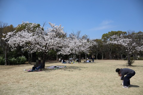 IMG_3090-fotor-2025032822743