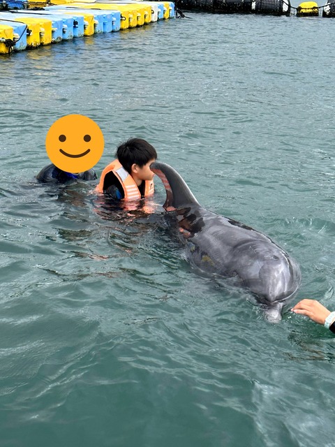 IMG_7342-fotor-2024101416428