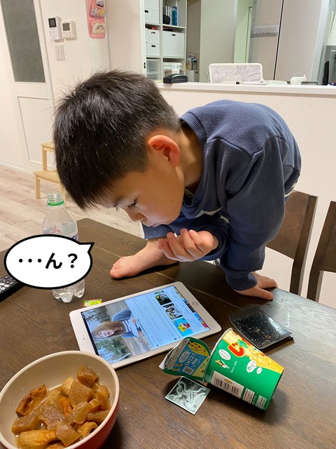 fotor_2023-3-11_15_24_8