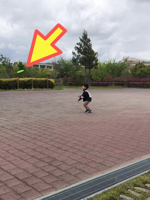 楽して遊べるか？　フリスビー！