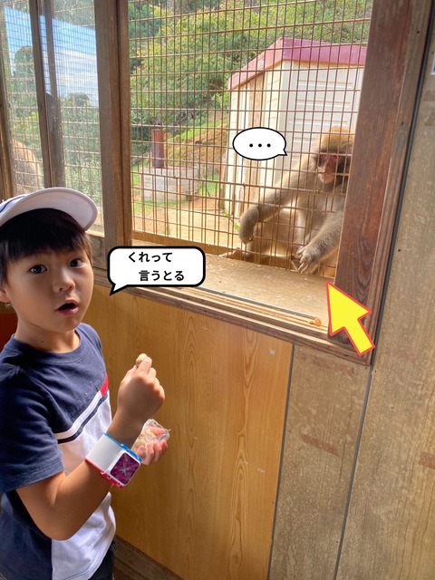 IMG_3137-fotor-20231101202856