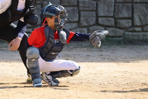 IMG_0825-fotor-202511086451