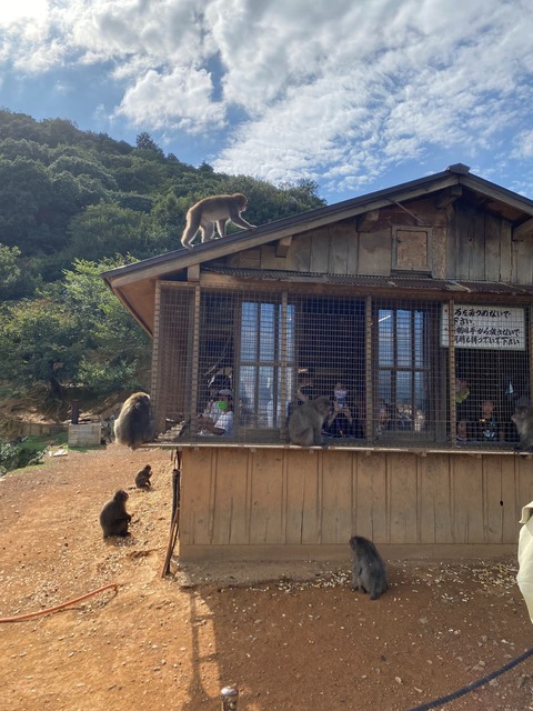 IMG_3122-fotor-20231101201829