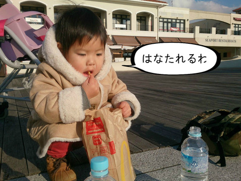 みんな大好き！　マクドのポテト！