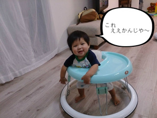 赤ちゃんの歩く練習用、歩行器！　なかなか気に入っとるやないか！