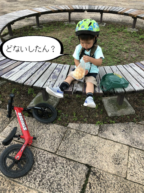 比べてみると、成長がわかる！