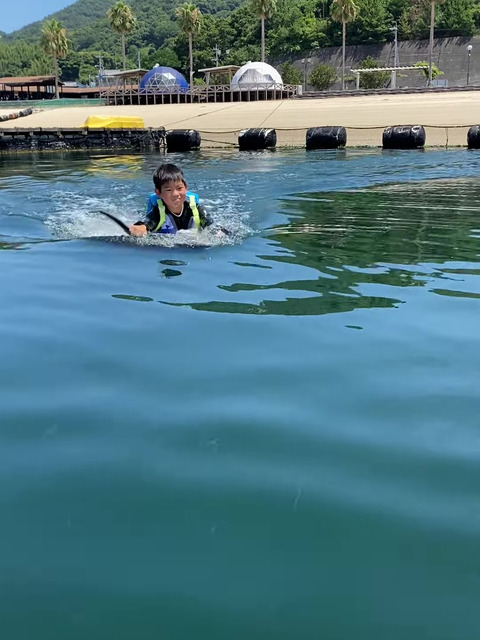 【２】どーしてもやりたかった！ ドルフィンスイムへ！