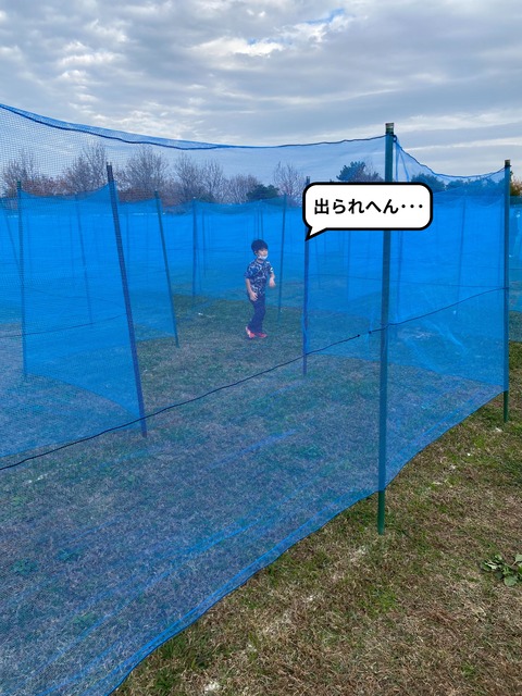 IMG_4010-fotor-20231218231326