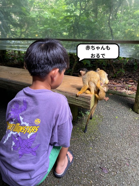 IMG_7153-fotor-2024081320417