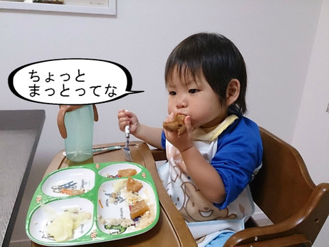 はっちゃんの仕事は、寝る、遊ぶ、邪魔する。