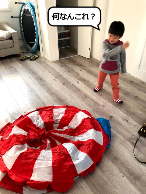 落ち着いて過ごせる、はっちゃん小屋！