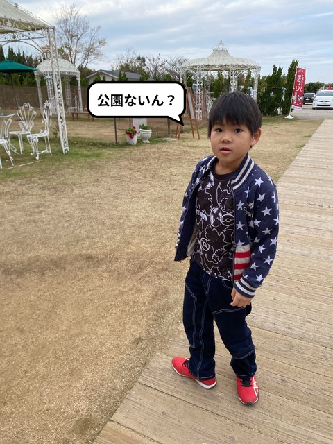 IMG_4005-fotor-20231218231817