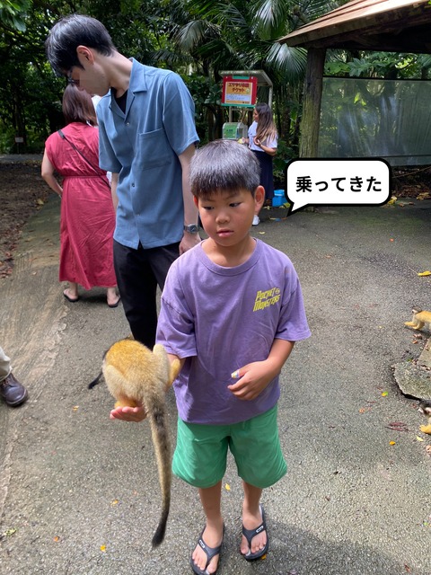 IMG_7154-fotor-20240813204552