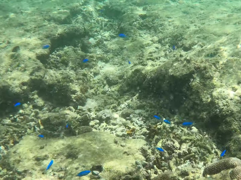 GH010478 - frame at 0m1s-fotor-20240805211715