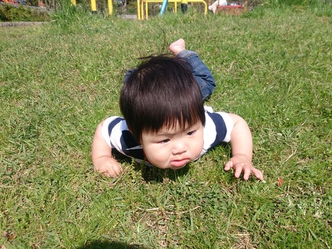 物足りなくなってくる公園の遊具。