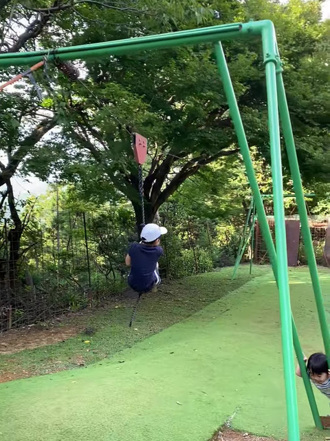 IMG_3160 - frame at 0m1s-fotor-20231103183347