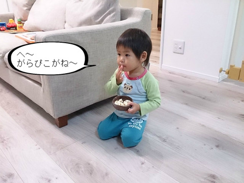 やっぱりベビーゲートは危険度アップ！