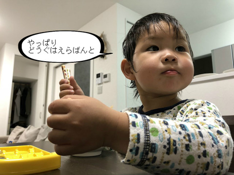 幼稚園だけじゃなく、家でも使いたい！