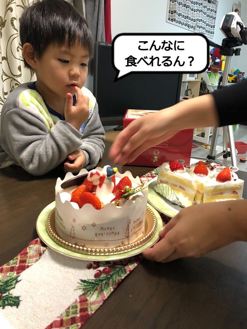 楽しみ方が違う、無残なクリスマスケーキ。