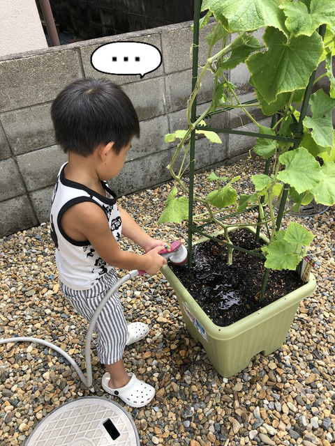 もはやきゅうりはただの口実。