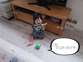 引き出し大好き！開けたくて仕方ない。。。