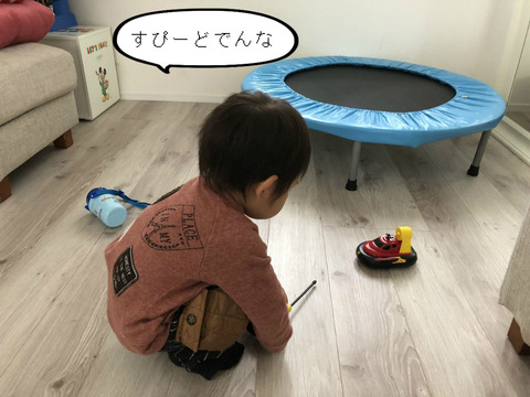 おすすめ！！　ラジコンで手抜き遊び！