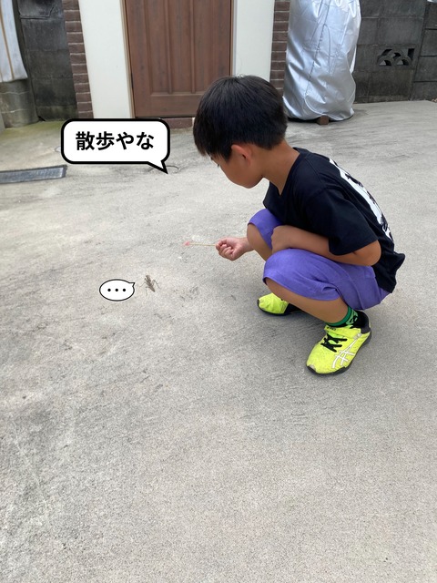 IMG_6298-fotor-2024060292410