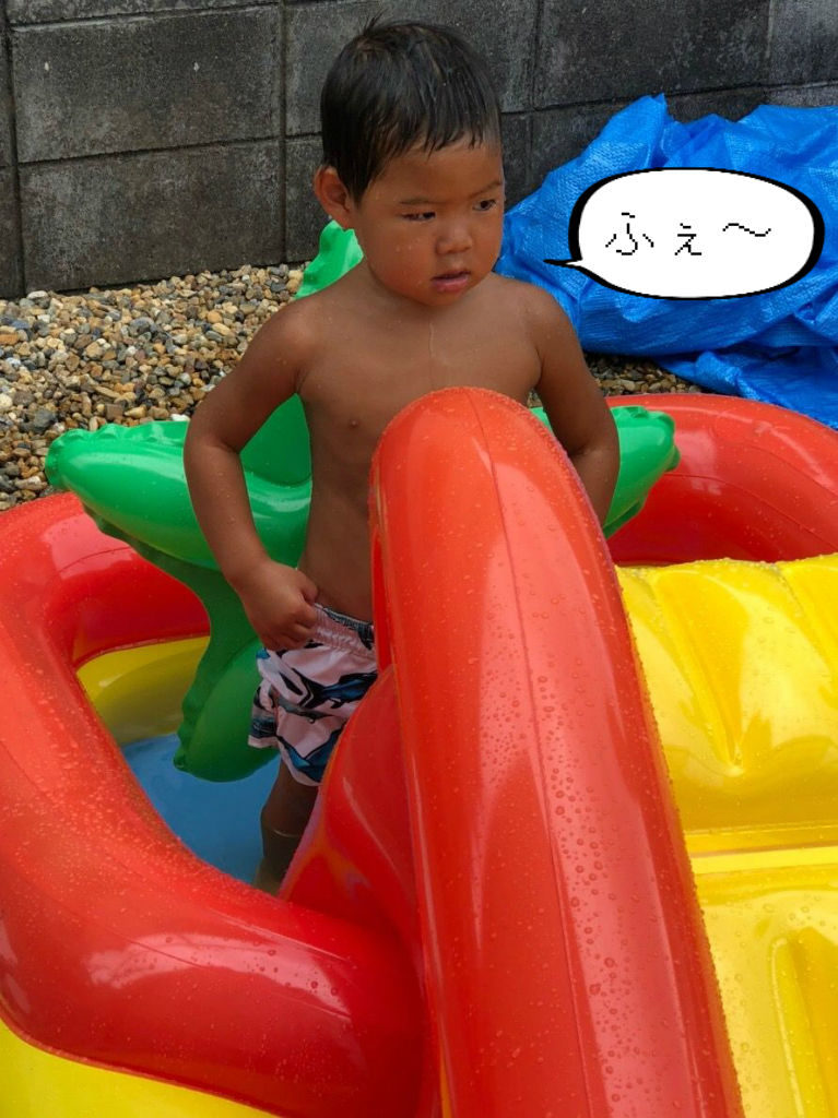 庭でプール遊び 何歳まで出来るかなぁ とおちゃんと はっちゃん 庭でプール遊び 何歳まで出来るかなぁ とおちゃんと はっちゃん